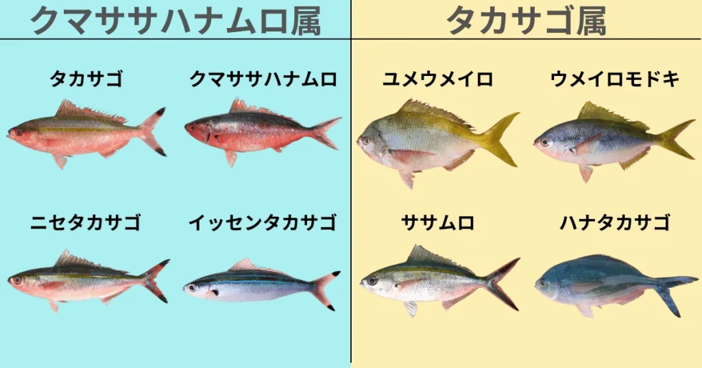 沖縄県魚「グルクン」完全ガイド!生態・釣り方・食べ方を解説