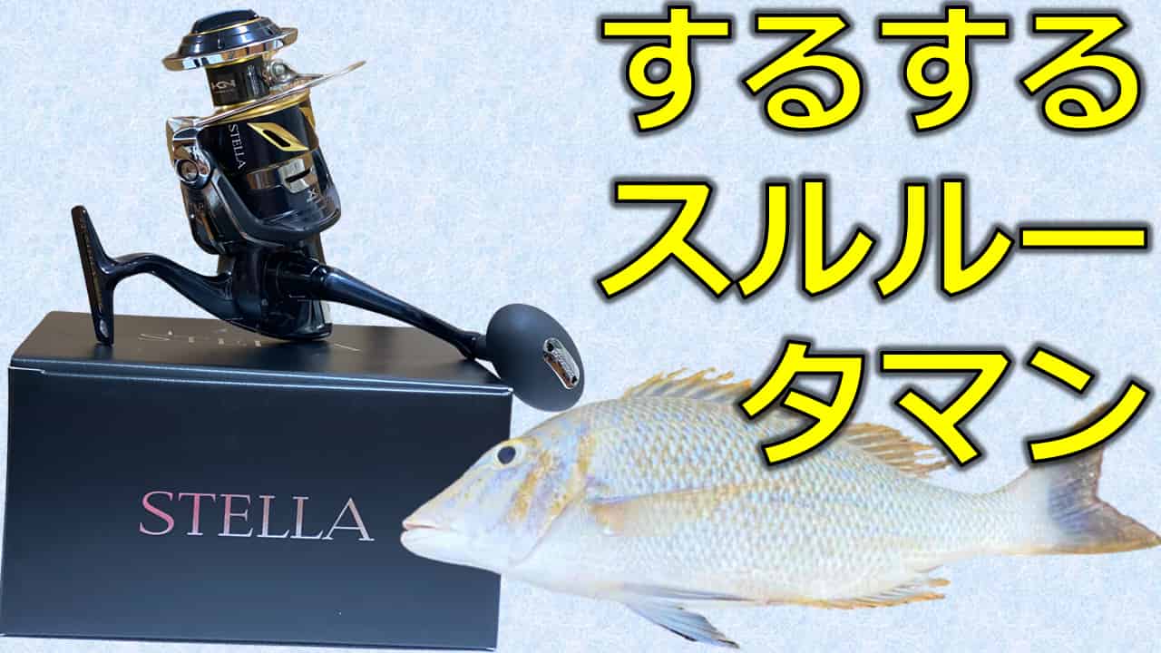 するするスルルーでハマフエフキ タマン ゲット 沖縄釣り好き全員集合