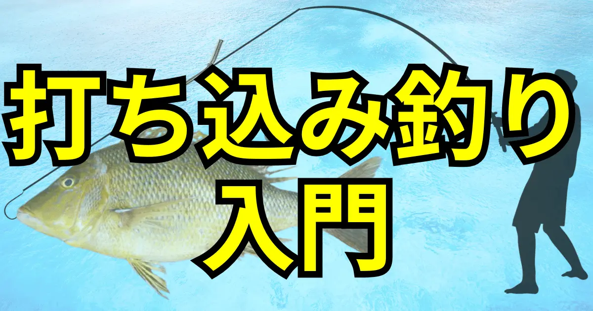 【沖縄打ち込み釣り入門】道具・  