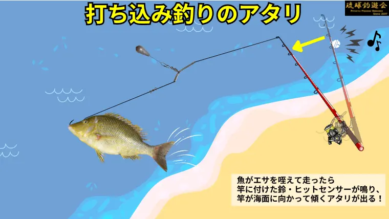 打ち込み釣りでタマンを釣るための釣り場・仕掛け・エサについて説明！