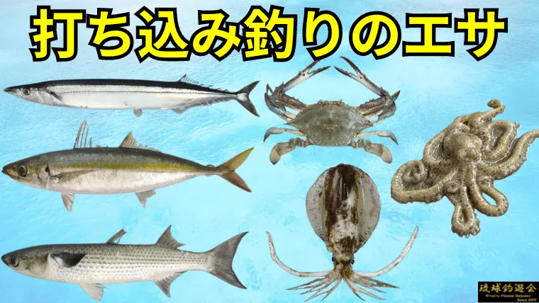 打ち込み釣りでタマンを釣るための釣り場・仕掛け・エサについて説明！