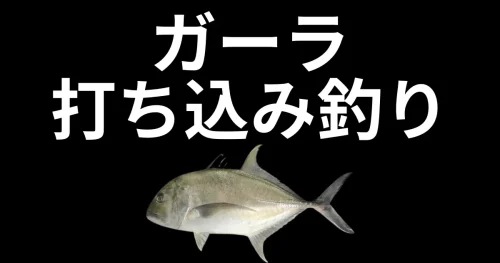 打ち込み釣りでガーラを釣るための釣り場・仕掛け・エサについて説明！