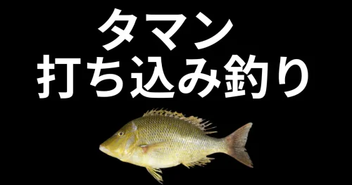 打ち込み釣りでタマンを釣るため 
