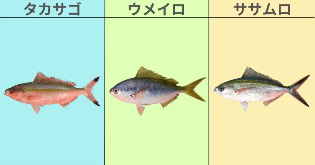 沖縄釣り好き全員集合! | 沖縄のフカセ釣り・打ち込み釣り・するするスルルーに関する情報や釣行記を発信しております。