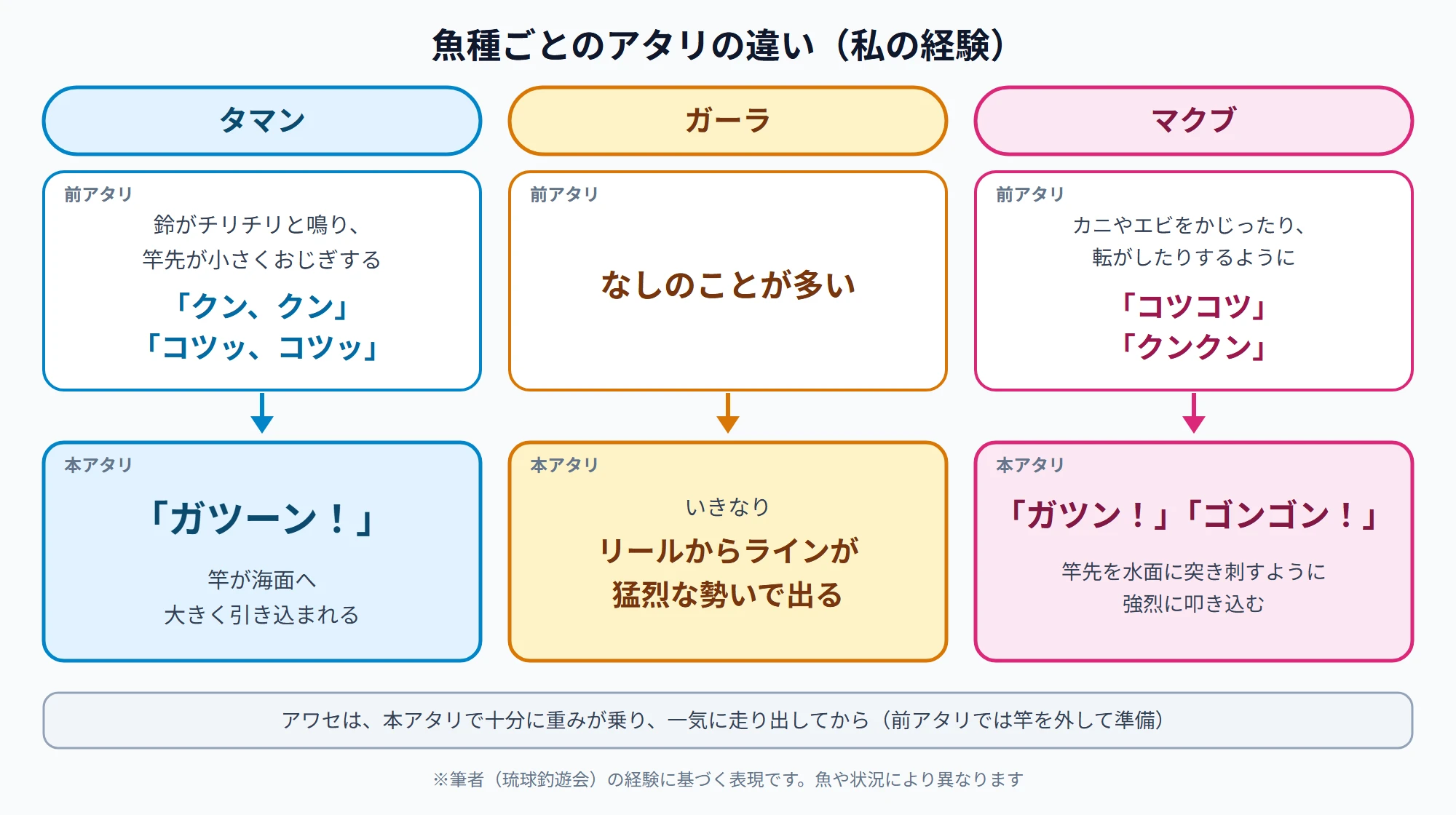 魚種ごとのアタリの違い。タマンは鈴がチリチリと鳴り竿先が「クン、クン」と小さくおじぎする前アタリの後、「ガツーン!」と竿が引き込まれる。ガーラは前アタリなしでいきなりラインが猛烈な勢いで出る。マクブは「コツコツ」「クンクン」の前アタリの後、「ガツン!」「ゴンゴン!」と竿先を水面に突き刺すように叩き込む